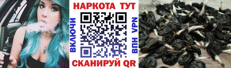 Наркошоп Куровское ГАШИШ МАРИХУАНА Alpha PVP МЕФ Псилоцибиновые грибы COCAIN