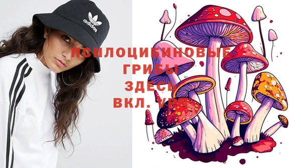 МДПВ Алексеевка
