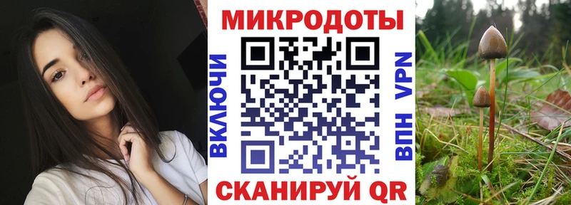 наркотики  Куровское  Псилоцибиновые грибы Psilocybe 